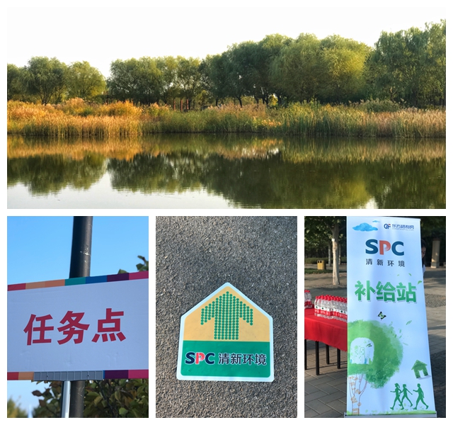 1540197077221624.jpg 拼图2.jpg