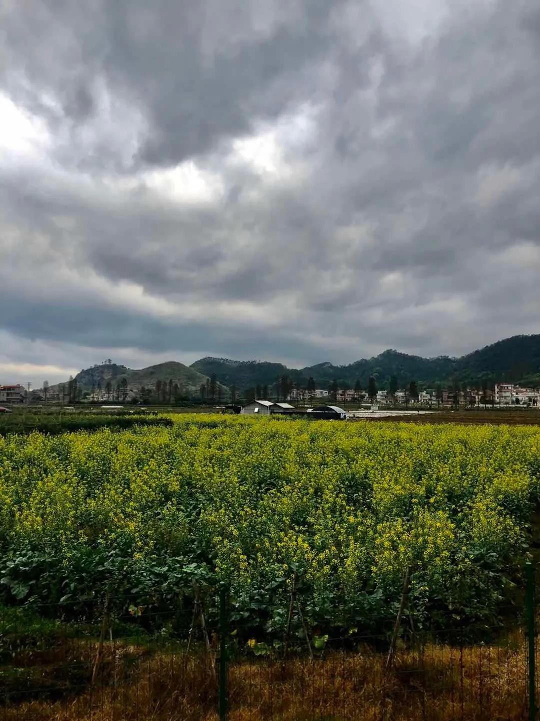 首届"邂逅心中的清新春天"摄影展获奖作品展示