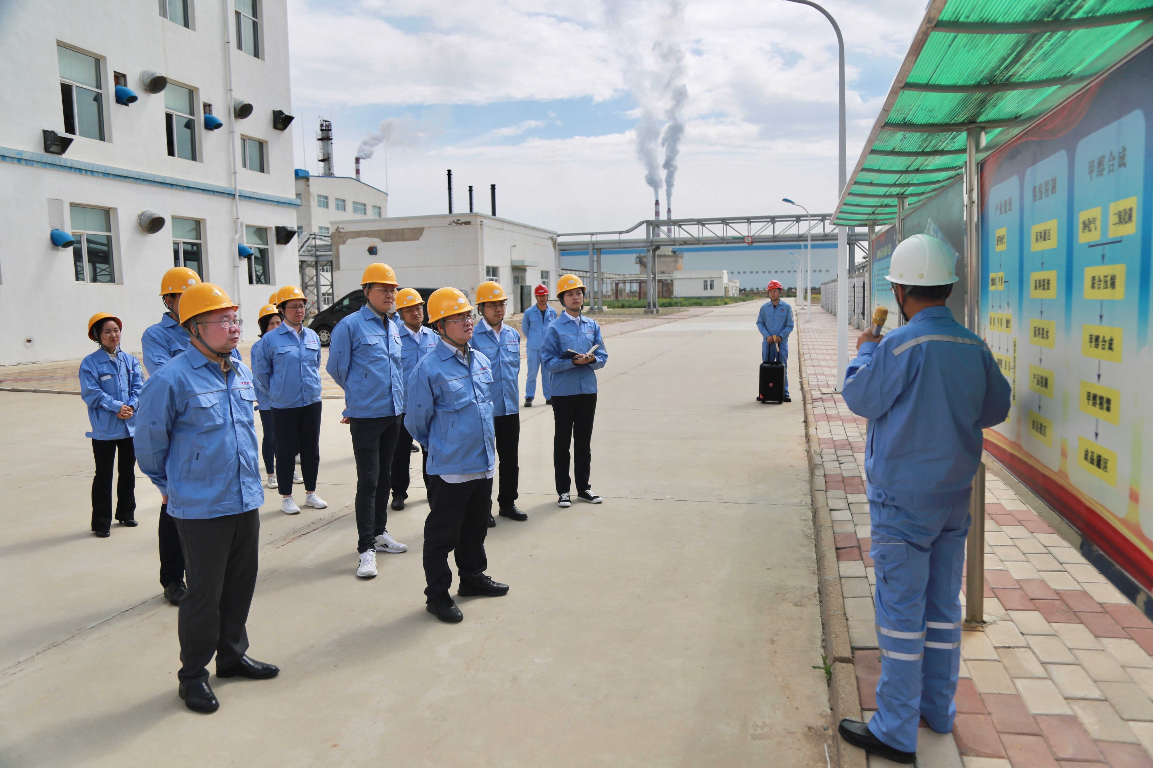 1625021915196559.jpg 1625021915196559.jpg