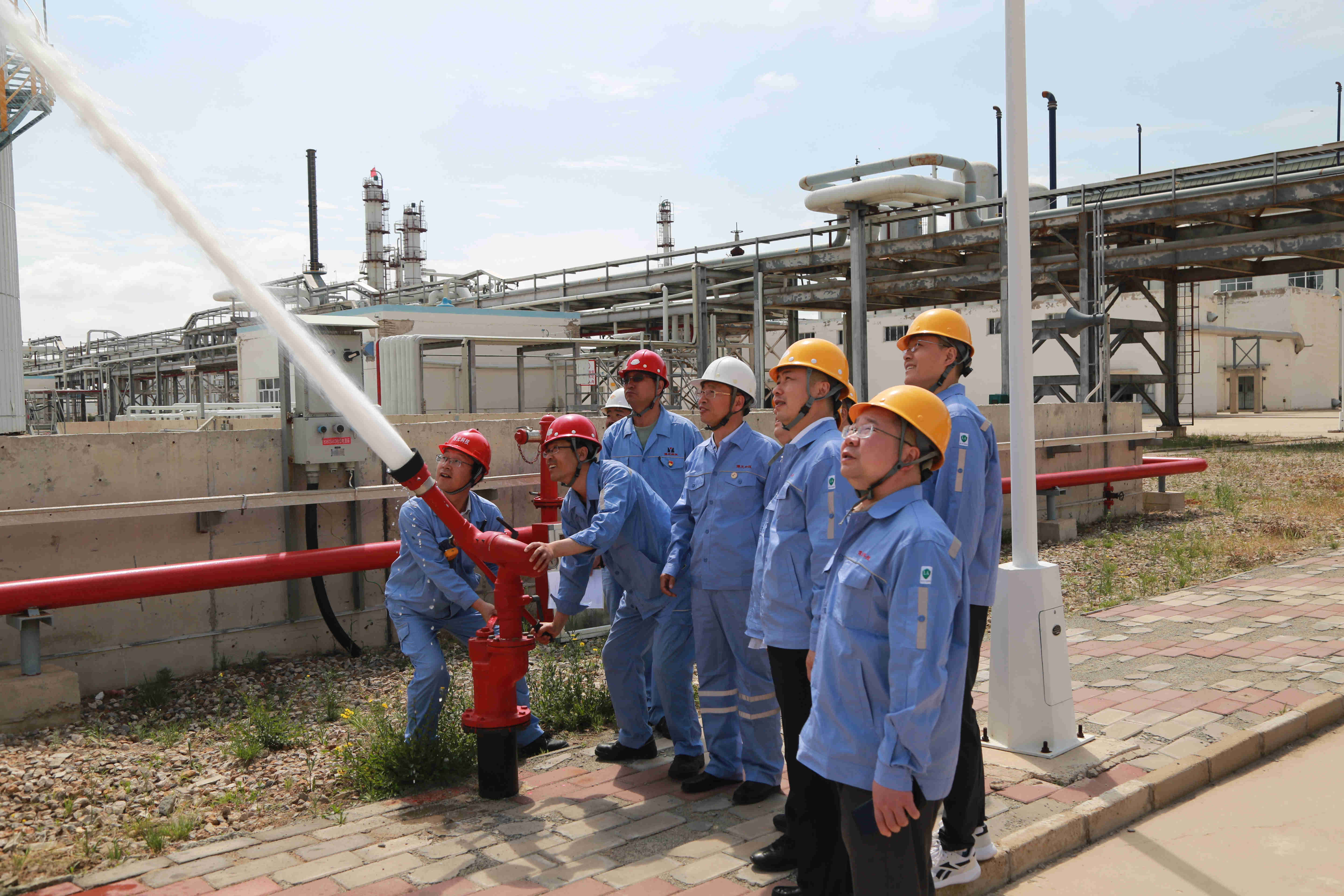 1625022496737731.jpg 1625022496737731.jpg