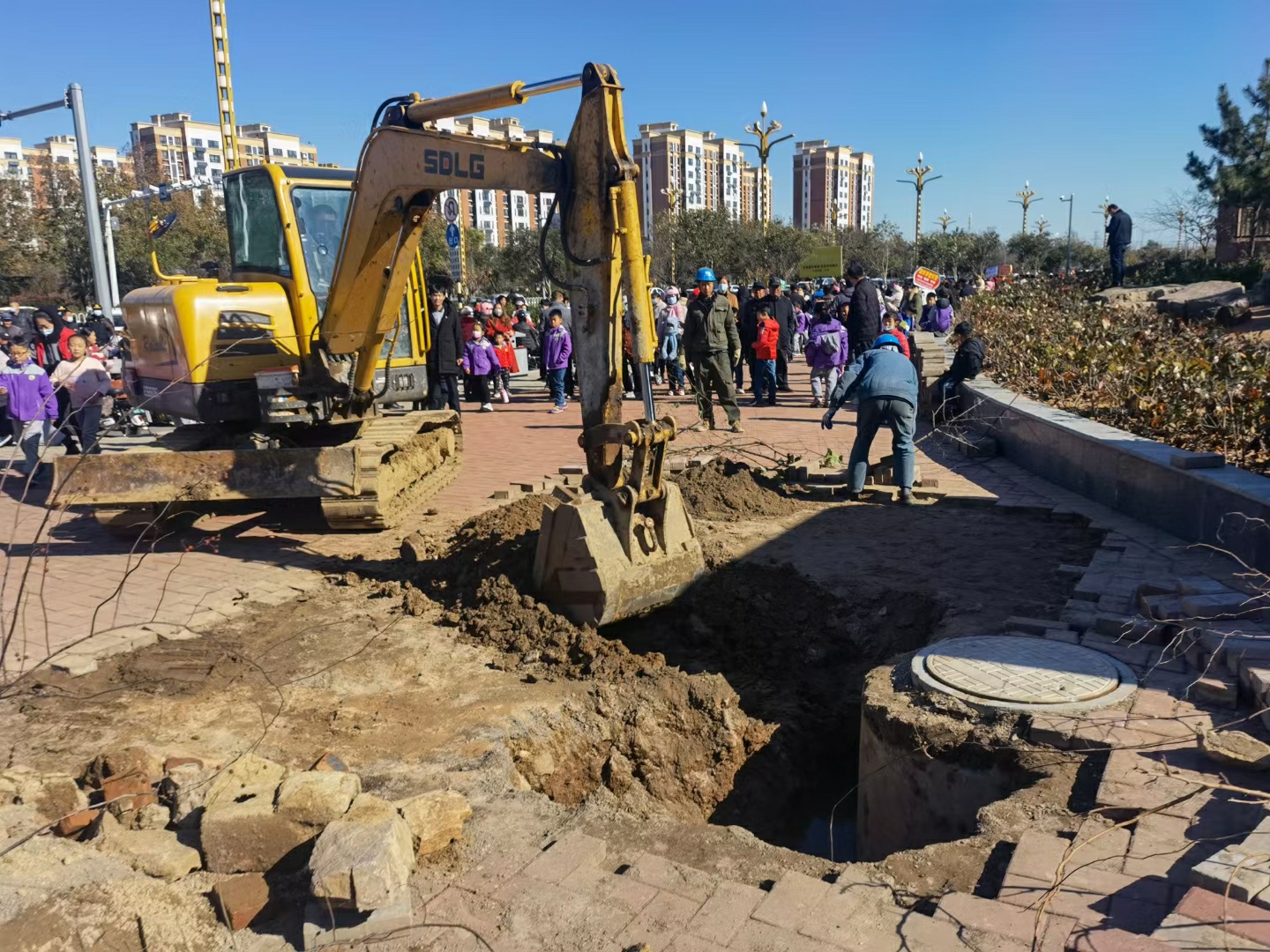 1638863567520663.jpg 6.jpg