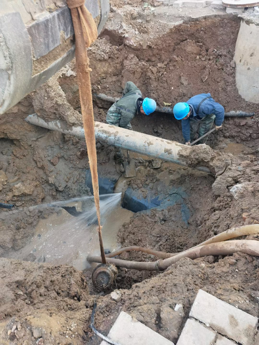 1638863604692657.jpg 4.jpg